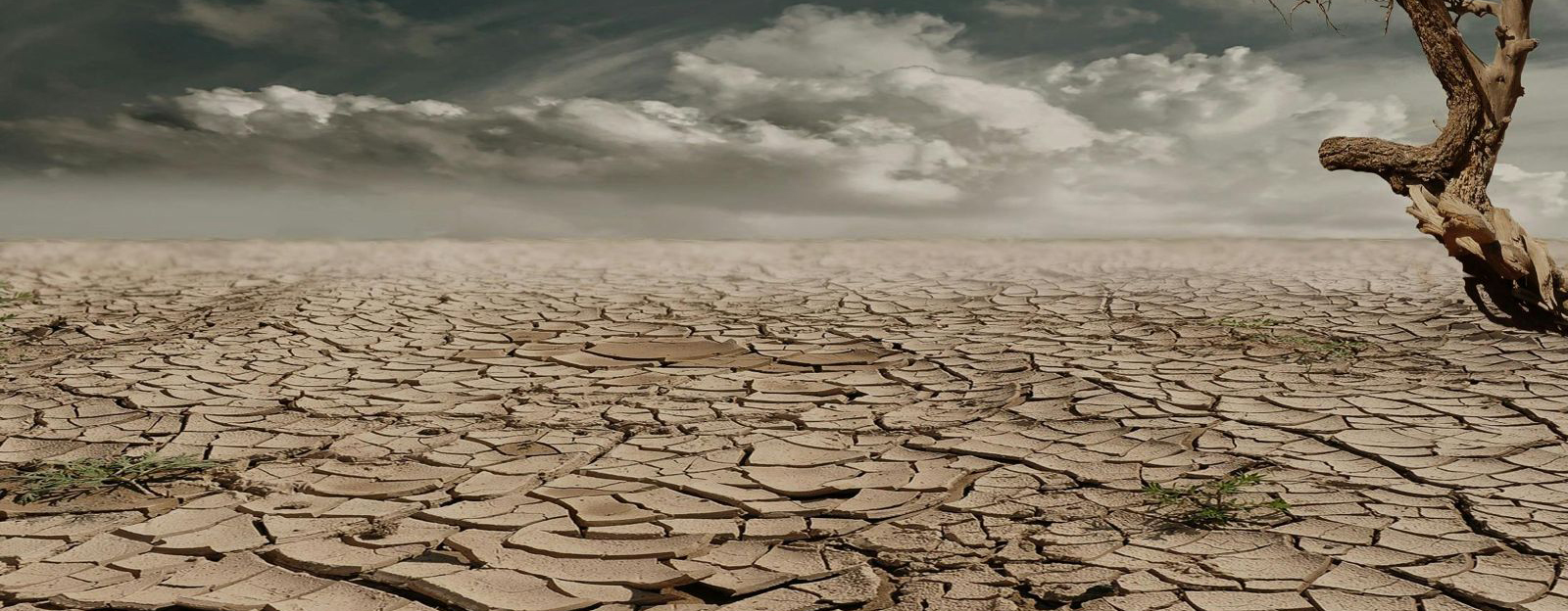 Cambio climático