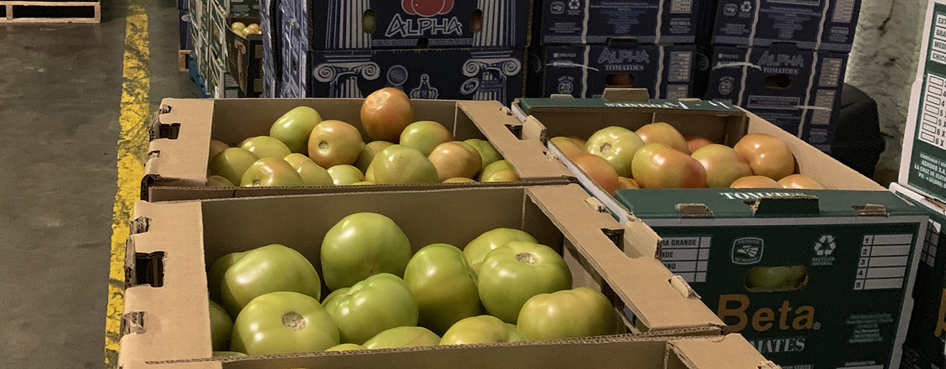 El precio del tomate sube.