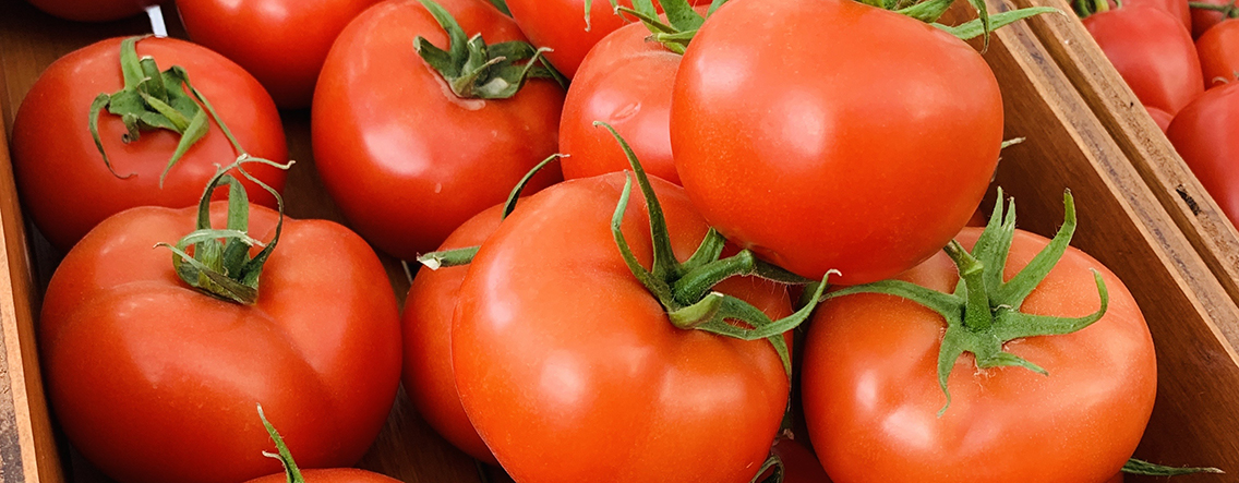 precios de referencia en tomate.