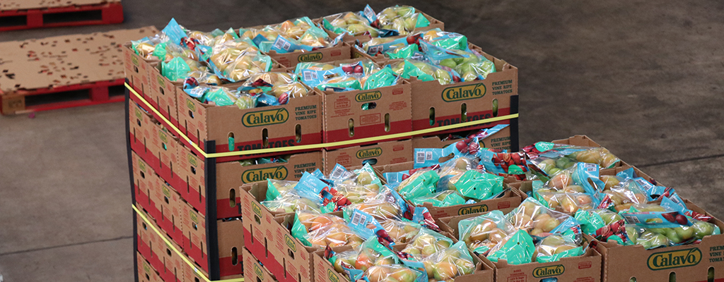 Empaque de tomate mexicano.